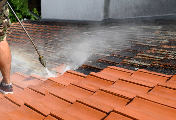 Best Deck Cleaning Services  in Pasadena, CA