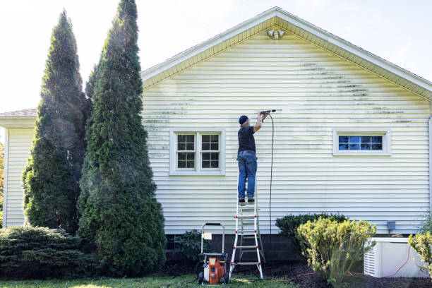 Deck Cleaning Services in Pasadena, CA